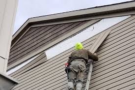 Best Fiber Cement Siding Installation  in Alpine, TX